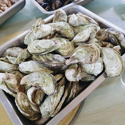 成人午夜热门视频推荐